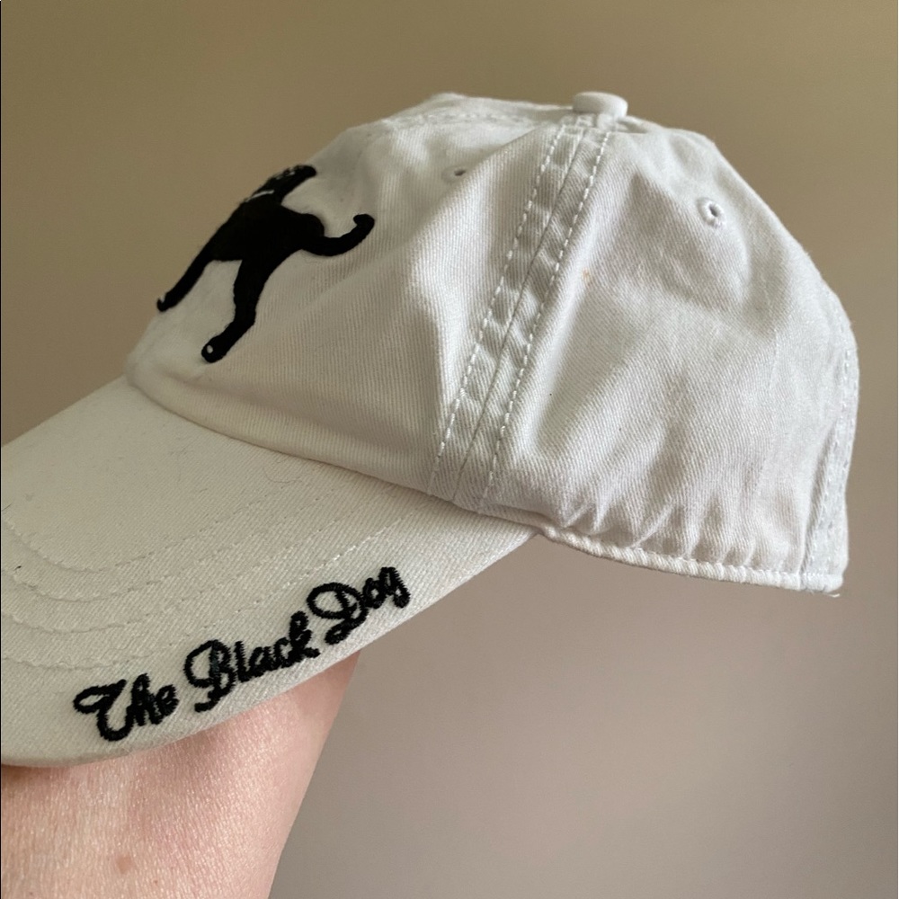Black dog baseball hat